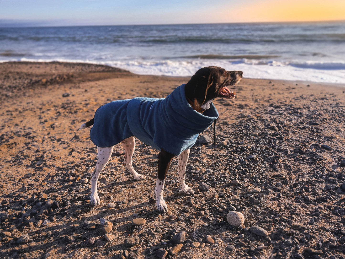 Veste polaire corail Ocean Breeze pour chien