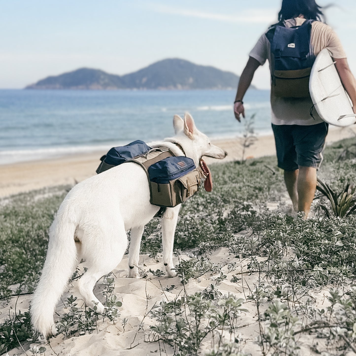 Sac à dos pour chien Cactus Creek