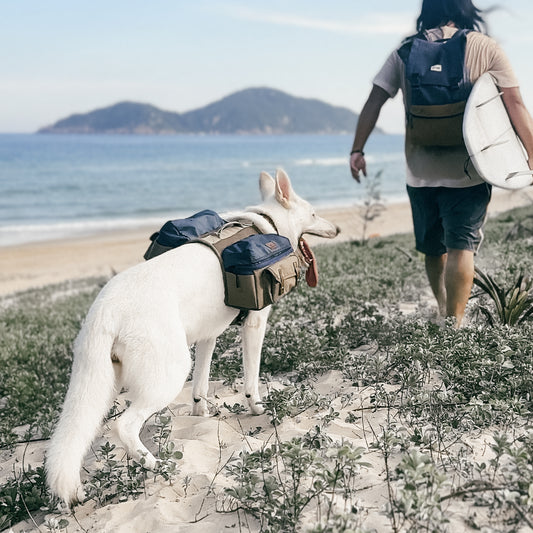 Sac à dos pour chien Cactus Creek